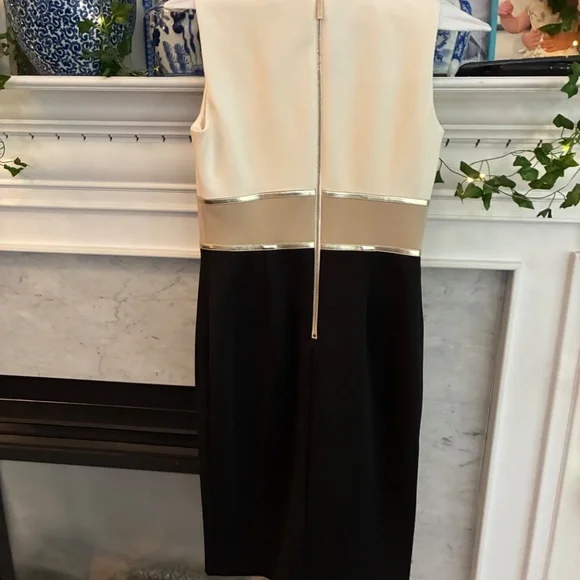 Calvin Klein Collection Black and Cream with beautiful gold strip Dress - Picture 3 of 3